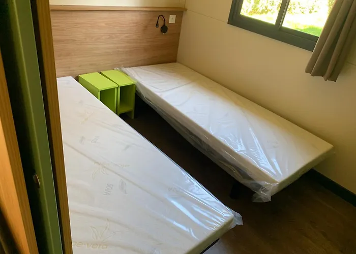 L'oree Des Landes * Onesse-et-Laharie